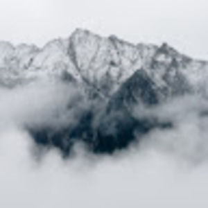 Meet your Posher, Ben